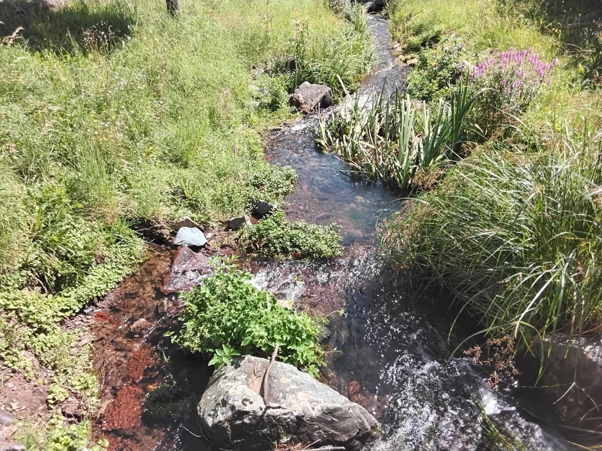 Hochwald Ensuite باد ساخسا المظهر الخارجي الصورة