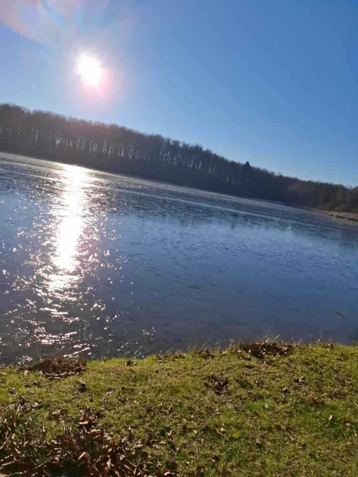 Hochwald Ensuite باد ساخسا المظهر الخارجي الصورة